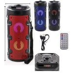 Haut Parleur Bluetooth ZQS4210