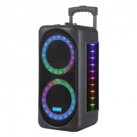 Haut Parleur Trolley Bluetooth Extra Bass GZ-X828